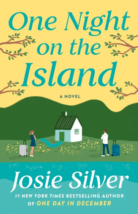 One Night on the Island: A Novel