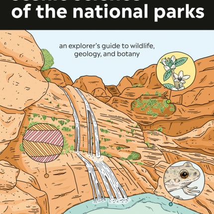 Scenic Science of the National Parks: An Explorer's Guide to Wildlife, Geology, and Botany