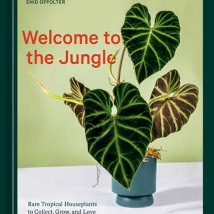 Welcome to the Jungle: Rare Tropical Houseplants to Collect, Grow, and Love