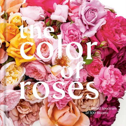 The Color of Roses: A Curated Spectrum of 300 Blooms