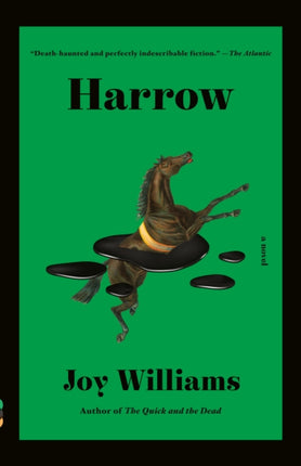 Harrow: A novel (Kirkus Prize)