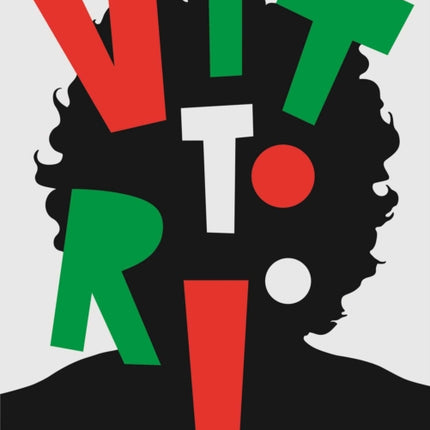 Through the Eyes of Vittorio