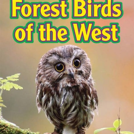 Forest Birds of the West