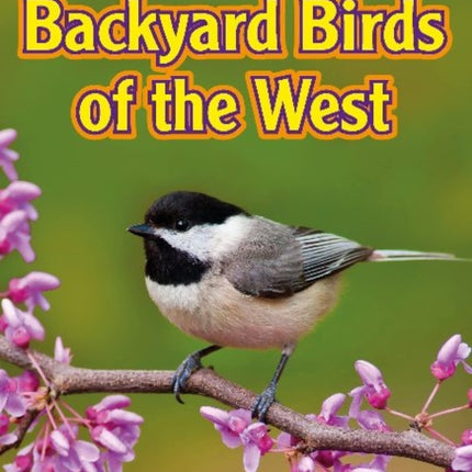 Backyard Birds of the West