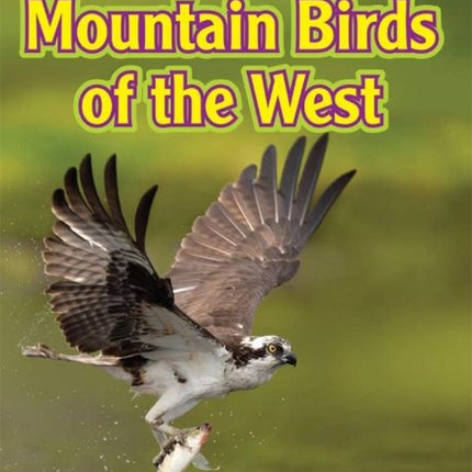 Mountain Birds of the West
