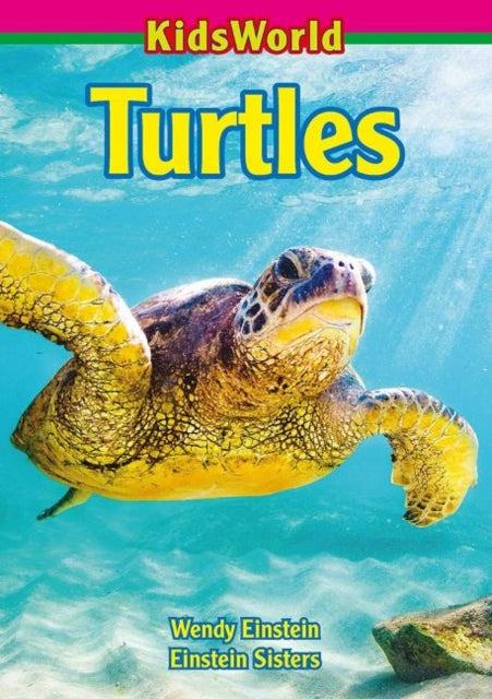 Turtles