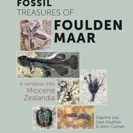 Fossil Treasures of Foulden Maar: A Window into Miocene Zealandia