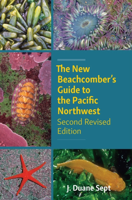 The New Beachcombers Guide to the Pacific Northwest