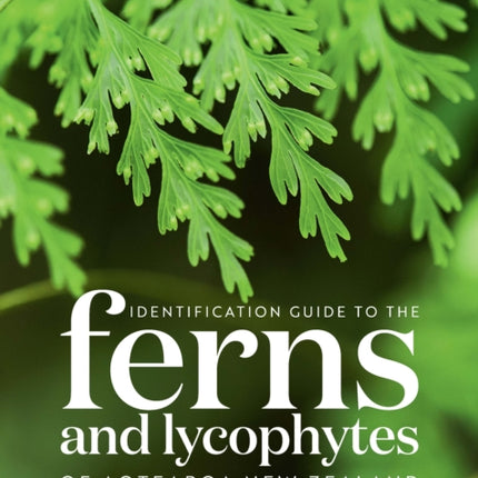 Identification Guide to the Ferns and Lycophytes