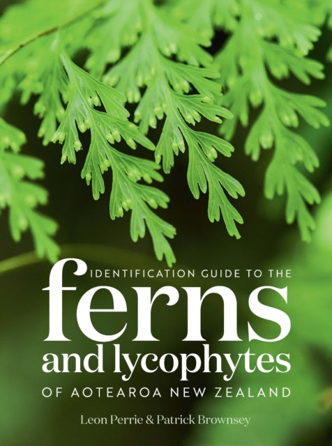 Identification Guide to the Ferns and Lycophytes