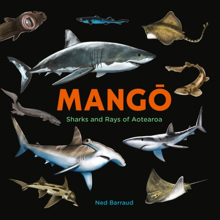 Mango: Sharks and Rays of Aotearoa