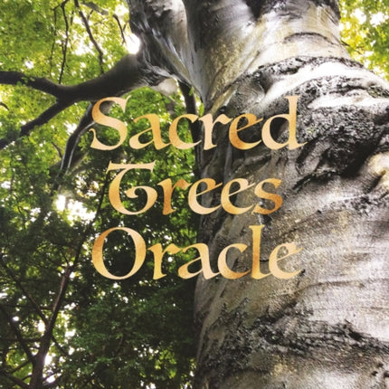 Sacred Trees Oracle