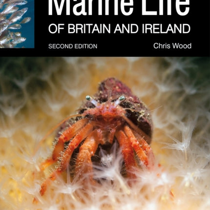 The Diver's Guide to Marine Life of Britain and Ireland