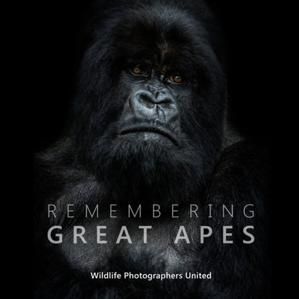 Remembering Great Apes