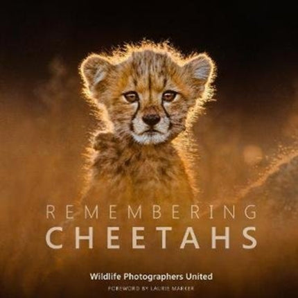 Remembering Cheetahs