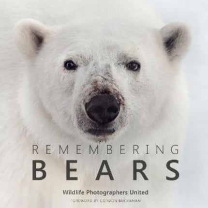 Remembering Bears