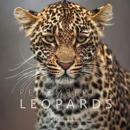 Remembering Leopards