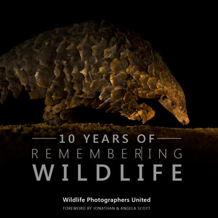 Ten Years of Remembering Wildlife