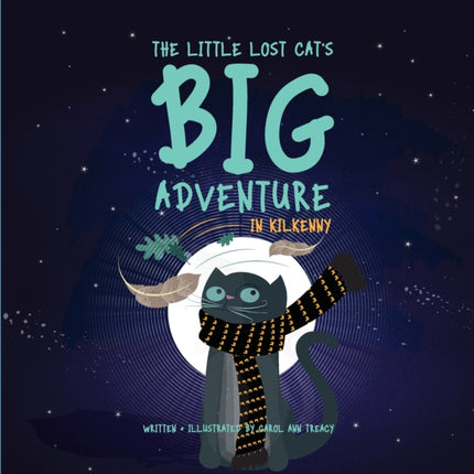 The Little Lost Cat's Big Adventure in Kilkenny: