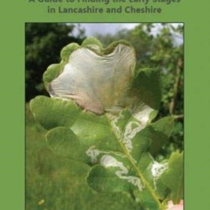 Micro-Moth Field Tips: A Guide to Finding the