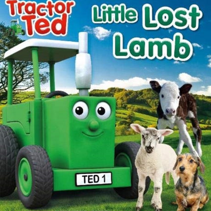 Tractor Ted Lost Little Lamb