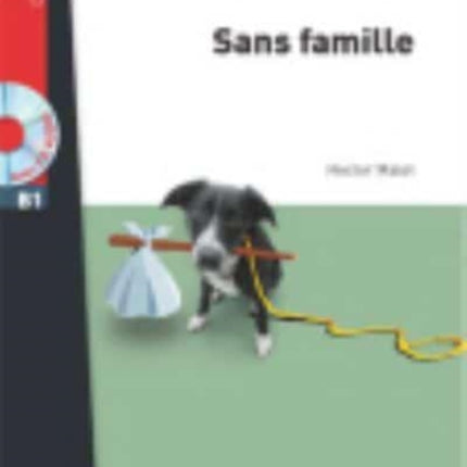 Sans famille  Livre  online audio