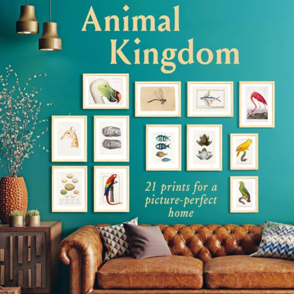 Frameables: Animal Kingdom: 21 Prints for a Picture-Perfect Home