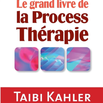 Le grand livre de la process thérapie