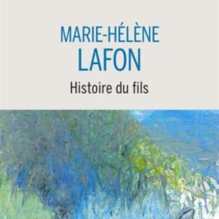 Histoire du fils roman