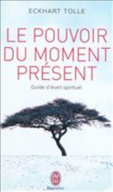 Le pouvoir du moment present guide deveil