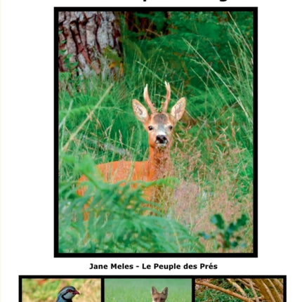 Débuter la photo animalière avec un petit budget