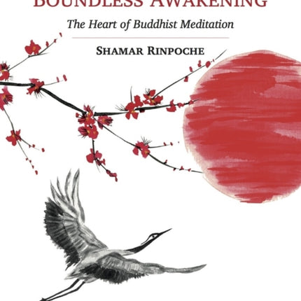 Boundless Awakening: The Heart of Buddhist