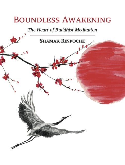 Boundless Awakening: The Heart of Buddhist
