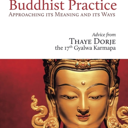 A Taste of Buddhist Practice: Approaching its