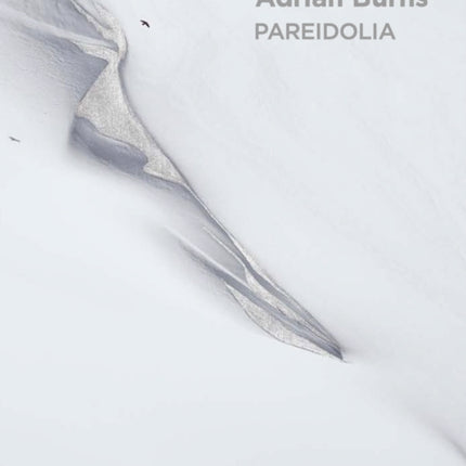 Pareidolia Adrian Burns Bilingual edition