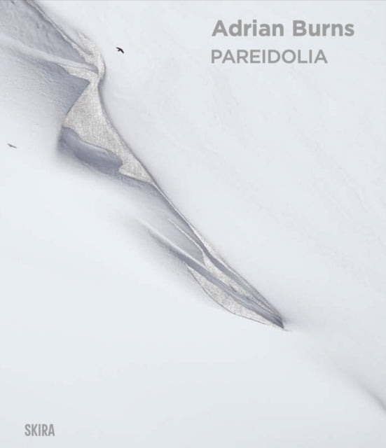 Pareidolia Adrian Burns Bilingual edition