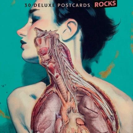 Anatomy Rocks: 30 Deluxe Postcards