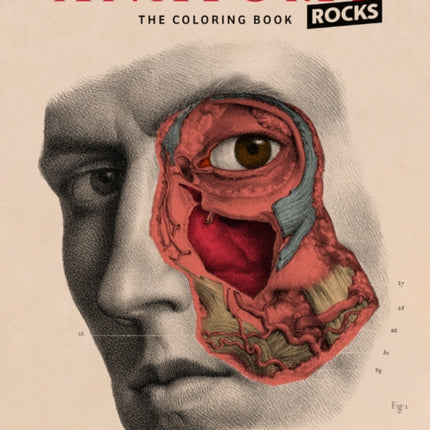 Anatomy Rocks: The Coloring Book