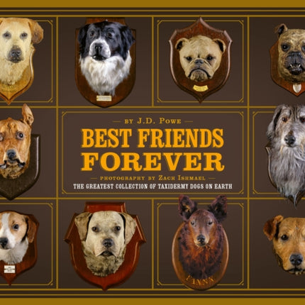 Best Friends Forever: The Greatest Collection of Taxidermy Dogs on Earth