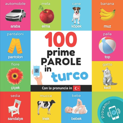 Le prime 100 parole in turco: Libro illustrato