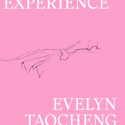 Evelyn Taocheng Wang: Unintended Experience: A Job in Amsterdam