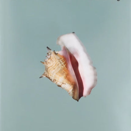 SHELLS