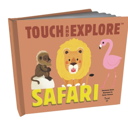 Touch and Explore: Safari