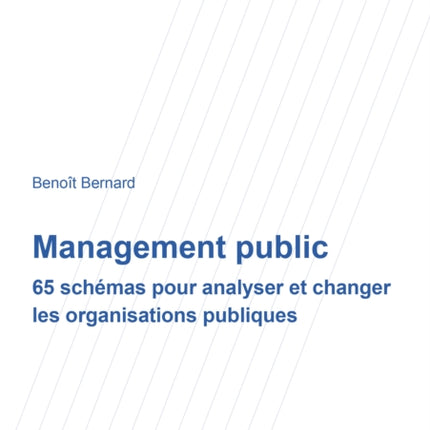 Management Public: 65 Schémas Pour Analyser Et Changer Les Organisations Publiques