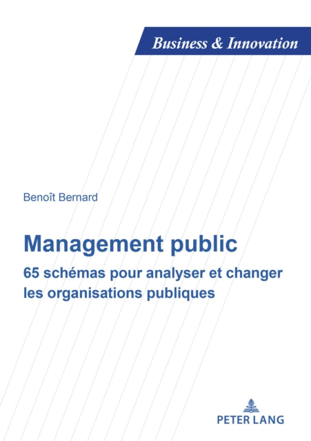 Management Public: 65 Schémas Pour Analyser Et Changer Les Organisations Publiques