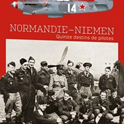 Normandie Niemen: Quinze Destins De Pilotes