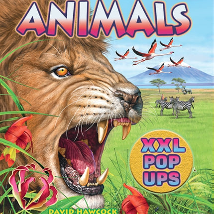 Animals XXL popups