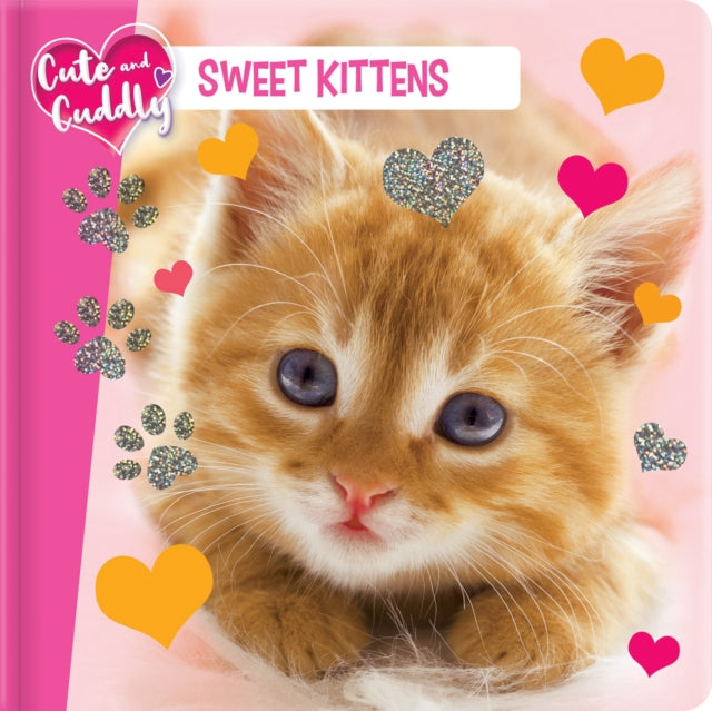 Cute and Cuddly: Sweet Kittens