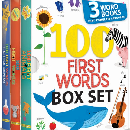 100 First Words Box Set