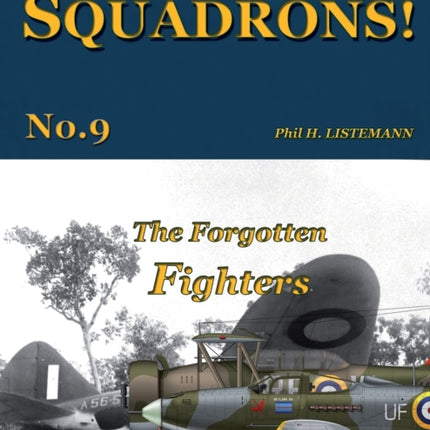 The Forgotten Fighters